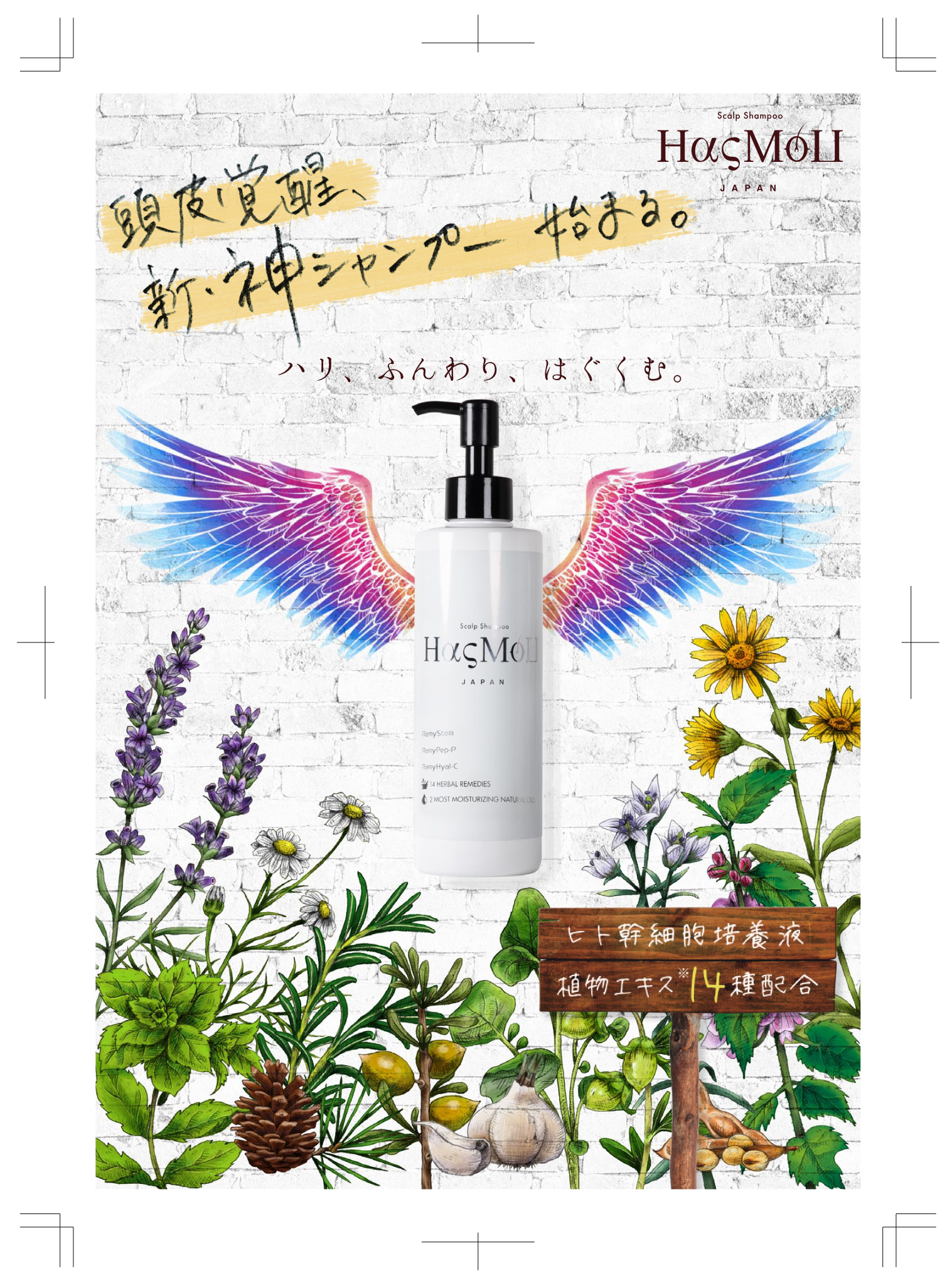 HasMoU JAPAN — 頭皮覚醒、新・神シャンプー始まる。